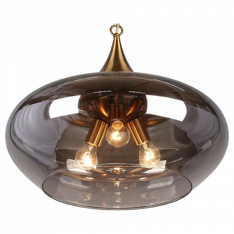 Подвесной светильник Aployt Franko APL.601.16.03 