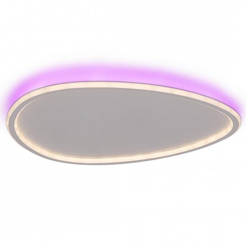 Накладной светильник Citilux ТR1O CL215B260E 