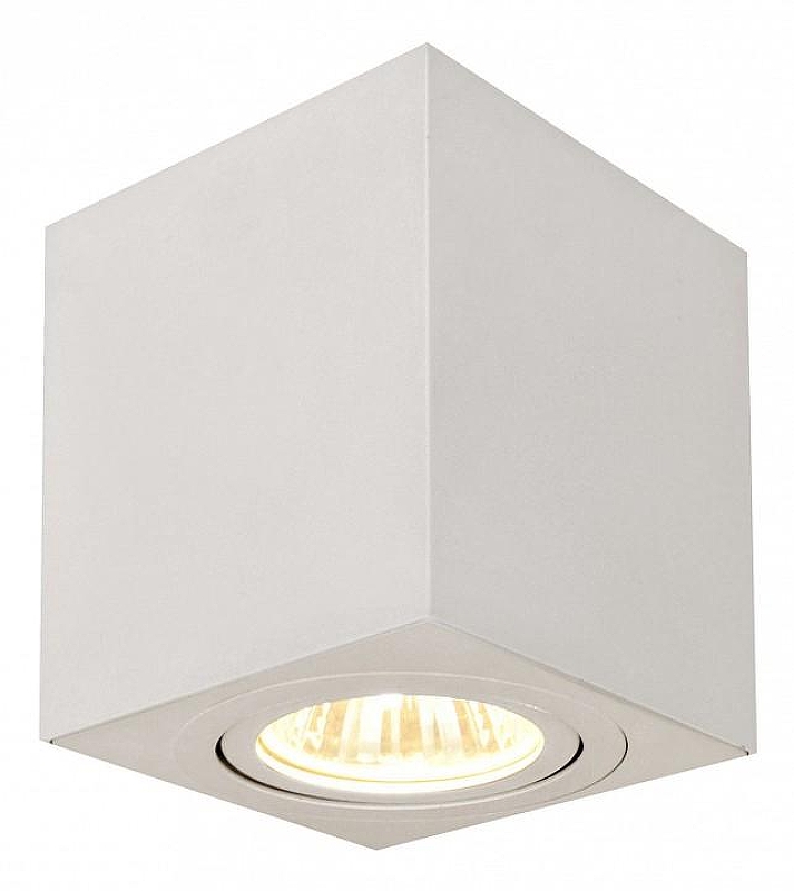 Накладной светильник Citilux Дюрен CL538211 