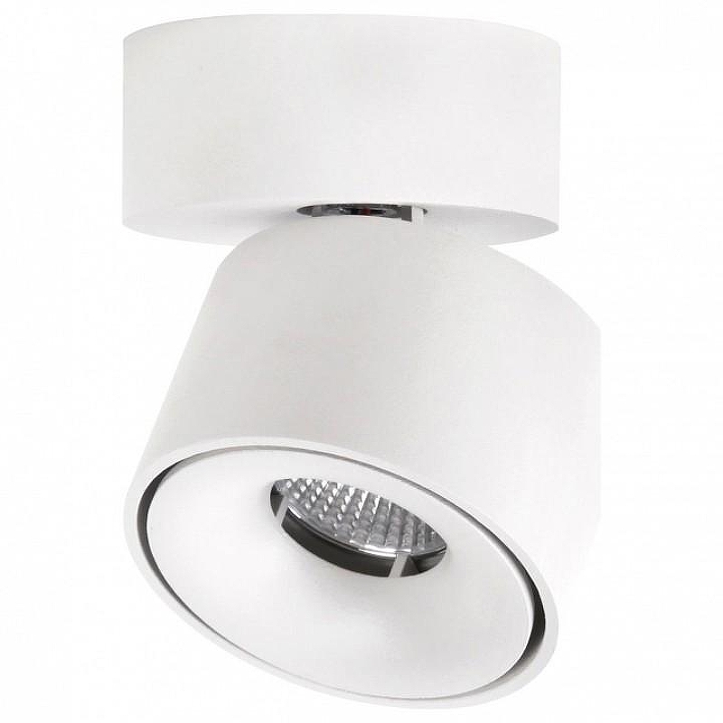 Спот Citilux Стамп CL558010N 