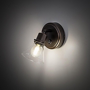 Бра Citilux Бисмарк CL564511 цвет плафона/подвески Прозрачный, цвет арматуры Коричневый-3