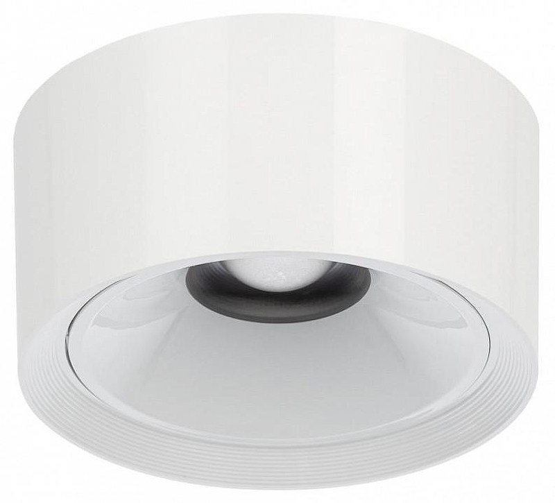 Накладной светильник Citilux Rover CL743060N 