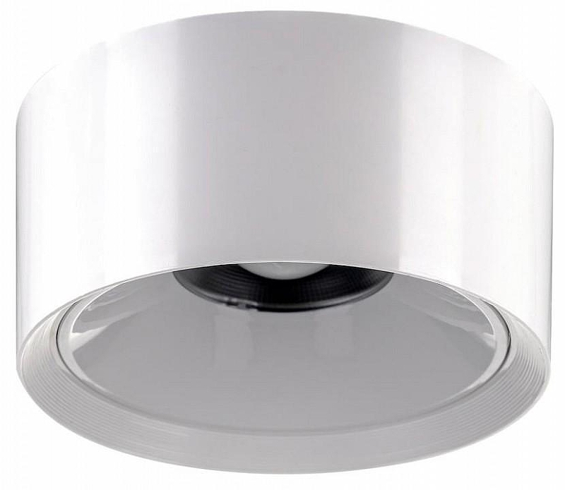 Накладной светильник Citilux Rover CL743090N 