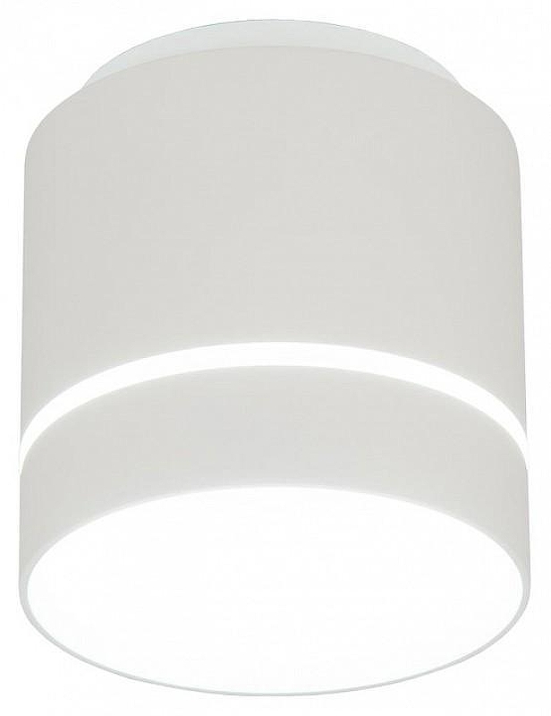 Накладной светильник Citilux Борн CL745020N 