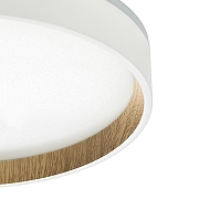 Накладной светильник Citilux Etalon CL750240 цвет плафона/подвески Белый, Коричневый, цвет арматуры Белый-12