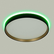 Накладной светильник Citilux ETALON CL750321R цвет Золото, Черный-3