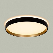 Накладной светильник Citilux ETALON CL750321R цвет Золото, Черный-5