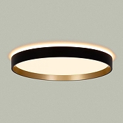 Накладной светильник Citilux ETALON CL750321R цвет Золото, Черный-6