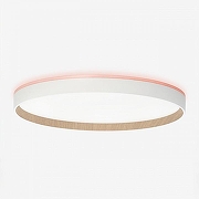 Накладной светильник Citilux ETALON CL750400R цвет Белый-5