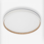 Накладной светильник Citilux ETALON CL750400R цвет Белый-6