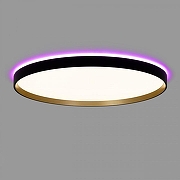 Накладной светильник Citilux ETALON CL750501R цвет Золото, Черный-6