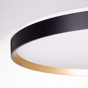 Накладной светильник Citilux ETALON CL750501R цвет Золото, Черный-10