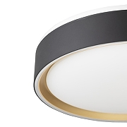 Накладной светильник Citilux BOSS CL751251G цвет плафона/подвески Черный, Золото, цвет арматуры Белый-11