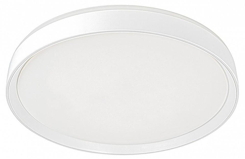 Накладной светильник Citilux BOSS CL751450G 