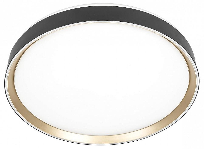 Накладной светильник Citilux BOSS CL751451G 