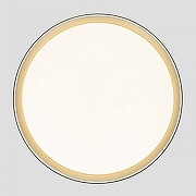 Накладной светильник Citilux BOSS CL751451G цвет плафона/подвески Черный, Золото, цвет арматуры Белый-4