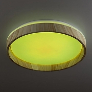 Накладной светильник Citilux ENZO CL753352G цвет плафона/подвески Белый, цвет арматуры Коричневый-5