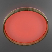 Накладной светильник Citilux ENZO CL753452G цвет плафона/подвески Белый, цвет арматуры Коричневый-5