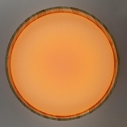 Накладной светильник Citilux ENZO CL753452G цвет плафона/подвески Белый, цвет арматуры Коричневый-6