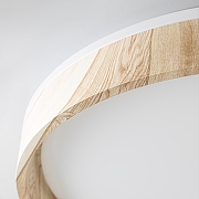 Накладной светильник Citilux ENZO CL753452G цвет плафона/подвески Белый, цвет арматуры Коричневый-9