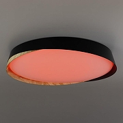 Накладной светильник Citilux BONNY CL754451G цвет плафона/подвески Черный, Коричневый, цвет арматуры Белый-12