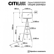 Торшер с полкой Citilux Рейнер CL806023 цвет плафона/подвески Синий, цвет арматуры Черный-7