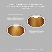 Встраиваемый светильник Denkirs DK3026 DK3026-WG цвет Белый, Золото-3