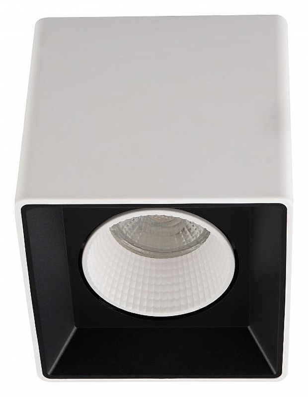 Накладной светильник Denkirs DK3030 DK3080-WB+WH 