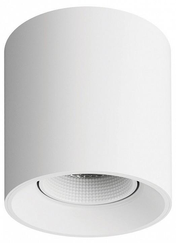 Накладной светильник Denkirs DK3040 DK3090-WH 