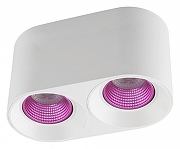 Накладной светильник Denkirs DK3020WPI DK3096-WH+PI IP X7