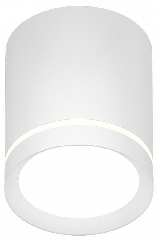 Накладной светильник Denkirs DK401 DK4013-WH 