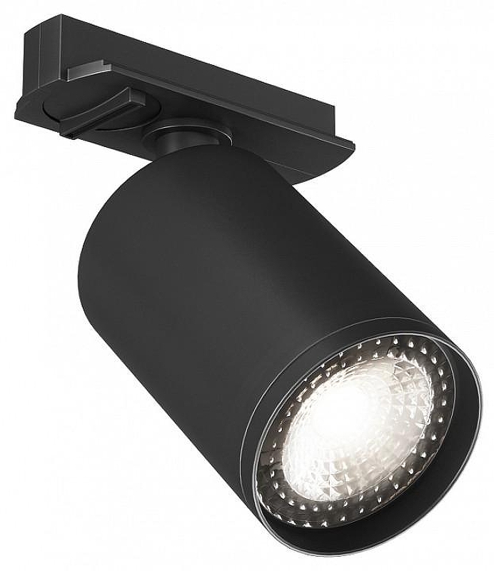 Светильник на штанге Denkirs DK620 DK6201-BK 