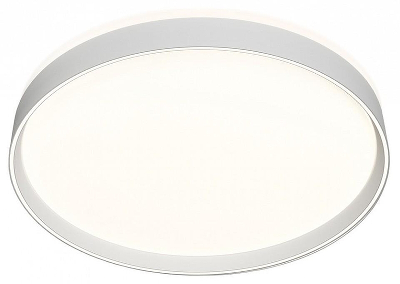 Накладной светильник Denkirs PLATO DK6511-WH 