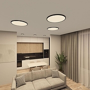 Накладной светильник Denkirs TH1N DK6524-BK цвет плафона/подвески Белый, Черный, цвет арматуры Черный-4