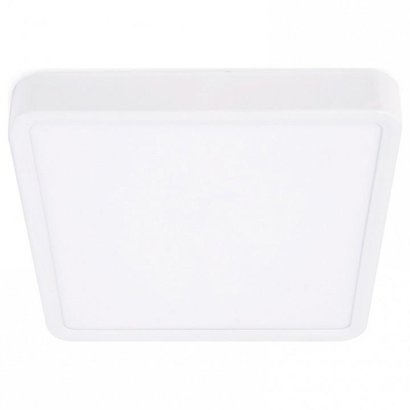 Накладной светильник Ambrella Light DLR DLR374 