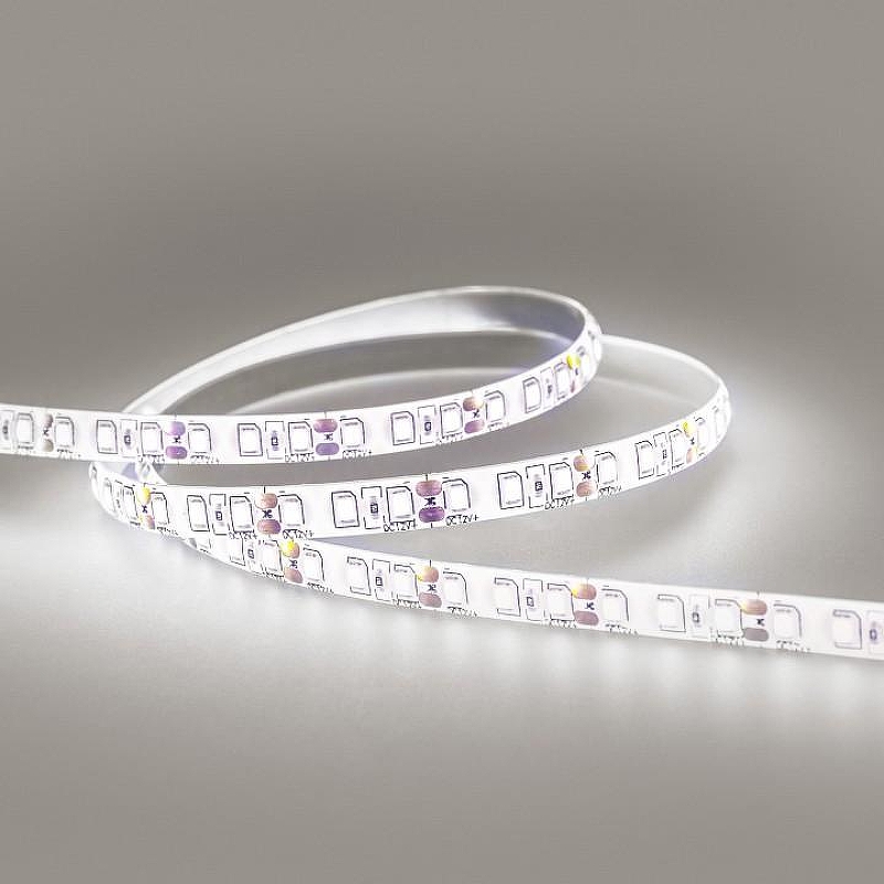 Светодиодная лента Eleganz EL-SS65-96W 