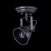 Спот Freya Ibbi FR4276-CW-01-B цвет плафона/подвески Черный, цвет арматуры Черный-1