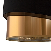 Светильник на штанге Freya Earth FR5171PL-06BS цвет плафона/подвески Латунь, Черный, цвет арматуры Латунь-1