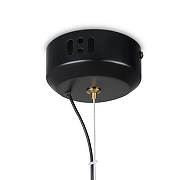 Подвесной светильник Freya Enchantment FR5384PL-L13GN цвет плафона/подвески Зеленый, цвет арматуры Черный-7