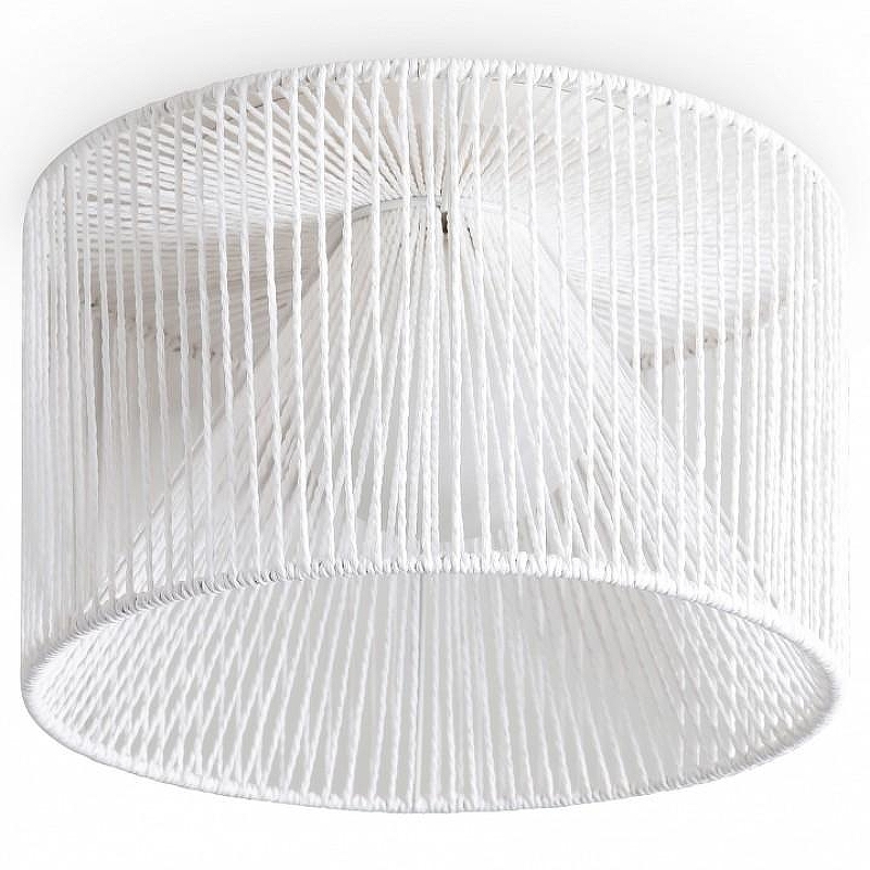 Накладной светильник Freya Cottage FR5405CL-01W1 