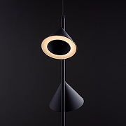 Подвесной светильник Freya Etro FR6141PL-L14B цвет плафона/подвески Черный, цвет арматуры Черный-2