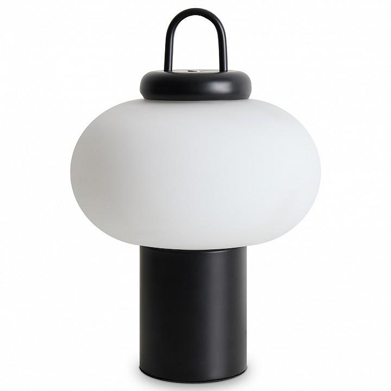 Настольная лампа Freya Take FR6175TL-L10B 