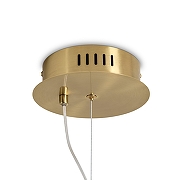 Подвесной светильник Freya Grail FR6183PL-L4BS цвет плафона/подвески Прозрачный, цвет арматуры Латунь-4