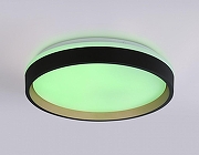 Накладной светильник Ambrella Light FZ FZ604 цвет плафона/подвески Белый, цвет арматуры Черный-4