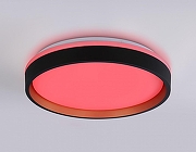 Накладной светильник Ambrella Light FZ FZ604 цвет плафона/подвески Белый, цвет арматуры Черный-7