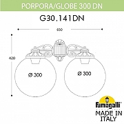 Светильник на штанге Fumagalli Globe 300 G30.141.000.AZF1RDN цвет плафона/подвески Дымчатый, цвет арматуры Черный-2