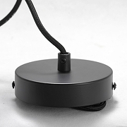 Подвесной светильник Lussole Truman GRLSP-8145 цвет Бронза, Черный-4