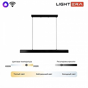 Подвесной светильник LIGHTERA Baffin LE112L-100B WIFI цвет плафона/подвески Черный, цвет арматуры Черный-2