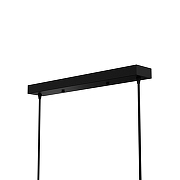 Подвесной светильник LIGHTERA Rudolf LE114L-3B SMART цвет плафона/подвески Белый, Золото, Черный, цвет арматуры Черный-6