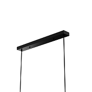 Подвесной светильник LIGHTERA Rudolf LE114L-4B SMART цвет плафона/подвески Белый, Золото, Черный, цвет арматуры Черный-8